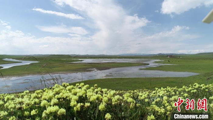 圖為青海澤曲草原?！蓭?kù)縣委宣傳部 供圖
