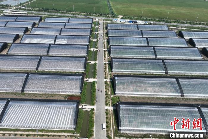 航拍宿遷宿豫區(qū)農(nóng)業(yè)科技示范園?！°蟛?攝