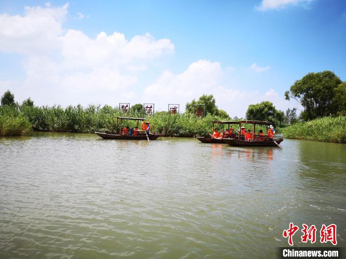 游客乘船進(jìn)入鹽城大縱湖“蘆蕩迷宮”?！∩虼毫?攝