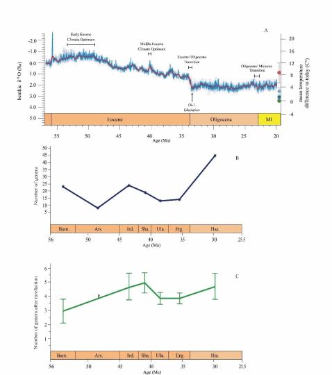 早始新世至早漸新世東亞嚙齒類屬級多樣性變化?!≈锌圃汗偶棺邓?供圖
