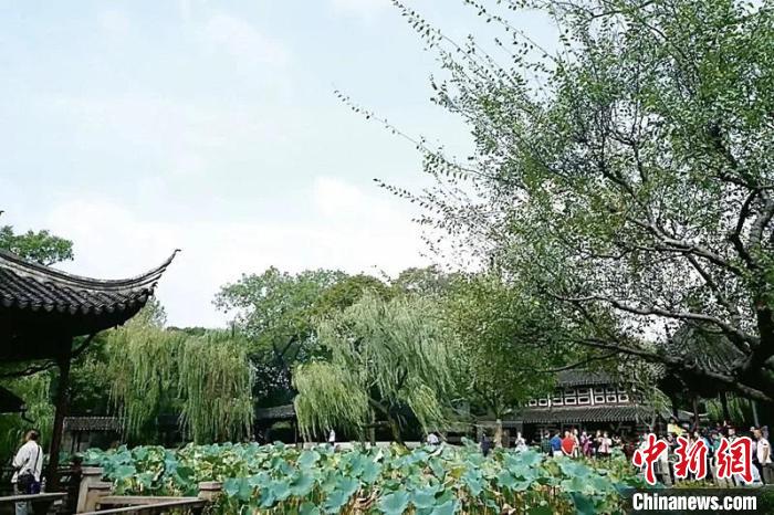 拙政園布局的山島、竹塢、松崗、曲水之趣。圖片來源：臺灣《聯合報》