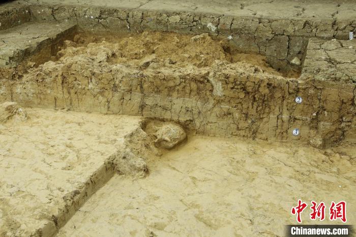 鄖縣人3號(hào)頭骨。　國家文物局供圖