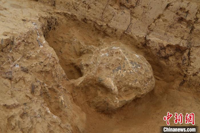 鄖縣人3號(hào)頭骨?！椅奈锞止﹫D