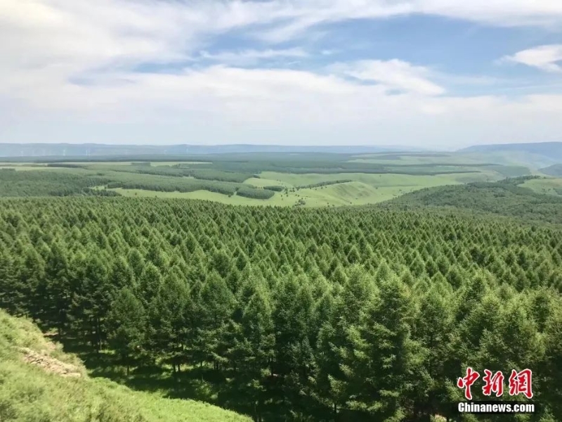 資料圖：塞罕壩林場(chǎng)。圖片來源：視覺中國(guó)
