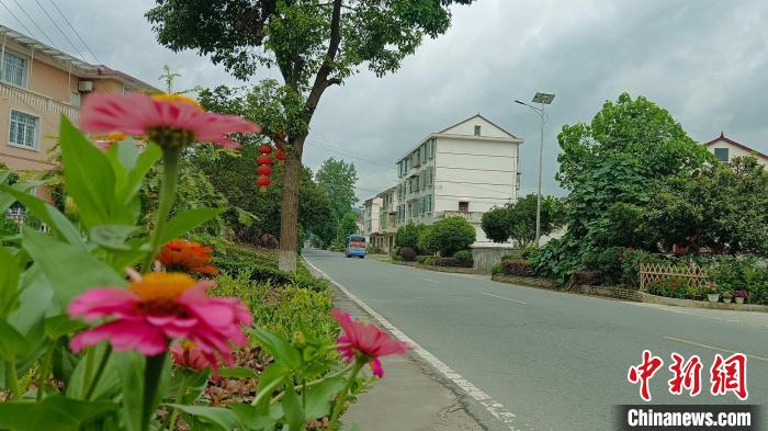 黨建引領(lǐng)大合唱，推動(dòng)村容村貌整體提升?！√镞B崗 攝