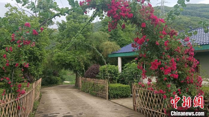 新村村致力于“扮靚新新村，打造身邊的網(wǎng)紅打卡點(diǎn)”?！√镞B崗 攝