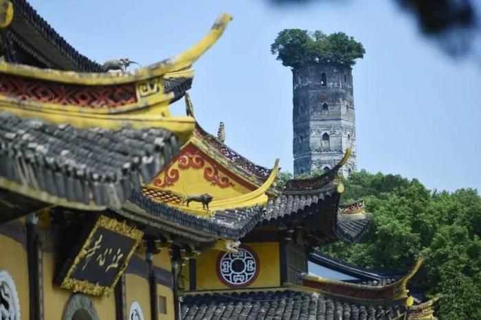 江心嶼東塔，塔頂自然生長一株100多年樹齡的榕樹。圖片來源：臺灣《經(jīng)濟(jì)日報(bào)》