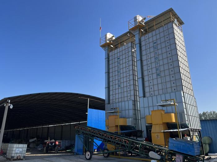 山東省高青縣高城鎮(zhèn)澤豐農(nóng)業(yè)種植專業(yè)合作社將含水量高的玉米輸送到烘干箱內(nèi)進行烘干。新華社記者 邵琨 攝