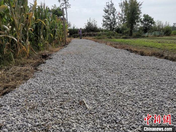 張景運利用國慶假期去拔草修整路面，并自費買來石子鋪在了上面?！W(wǎng)泗洪縣供電公司供圖