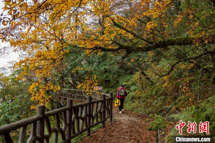 瓦屋秋色怡人。