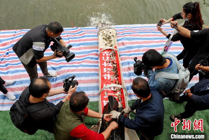 餌料魚(yú)捐贈(zèng)現(xiàn)場(chǎng) 張暢 攝