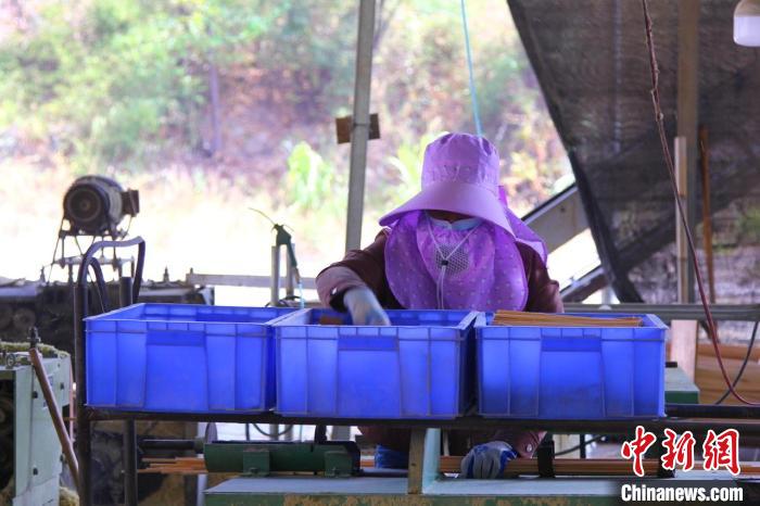 工人對楠竹進行初加工?！±罴儩?攝