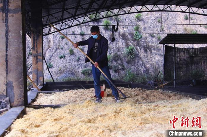 竹片廢料被加工成蚊香原料?！±罴儩?攝