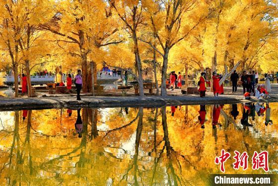 2018年10月下旬，甘肅酒泉市金塔沙漠胡楊林景區(qū)。但在40多年前，這里還滿目皆是光禿禿的荒漠?！钪颈?攝