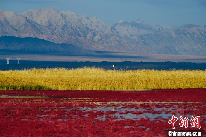 圖為柴達木盆地可魯克湖?！」?攝