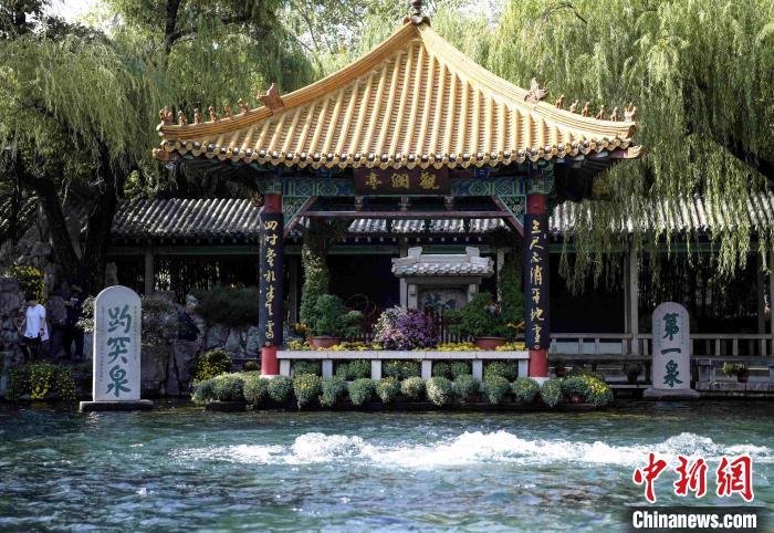 10月25日，第43屆趵突泉金秋菊展在濟(jì)南天下第一泉風(fēng)景區(qū)開幕?！堄?攝