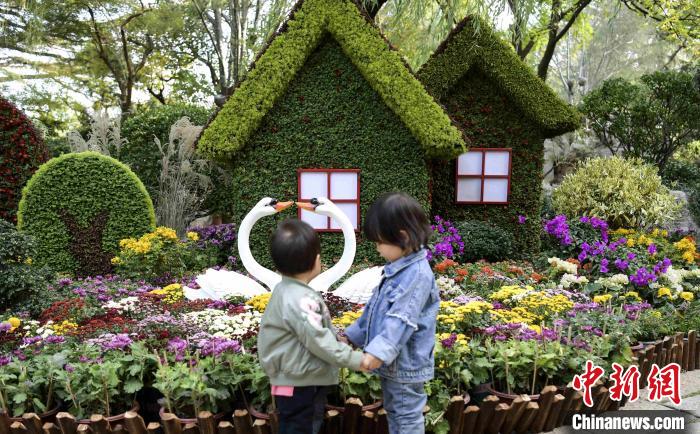 10月25日，第43屆趵突泉金秋菊展在濟(jì)南天下第一泉風(fēng)景區(qū)開幕?！堄?攝