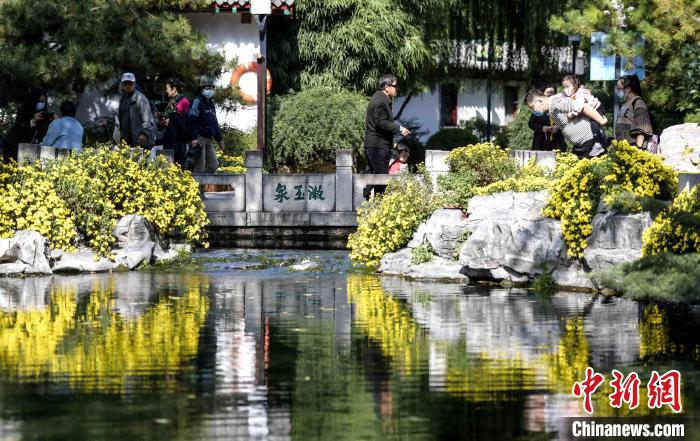 10月25日，第43屆趵突泉金秋菊展在濟(jì)南天下第一泉風(fēng)景區(qū)開幕?！堄?攝