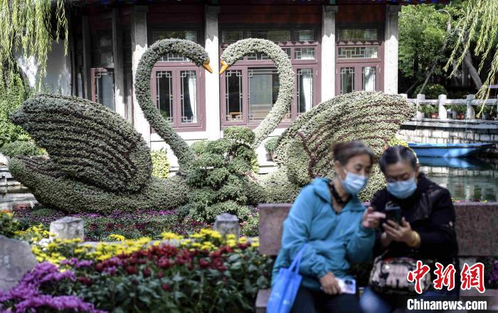 10月25日，第43屆趵突泉金秋菊展在濟(jì)南天下第一泉風(fēng)景區(qū)開幕。　張勇 攝