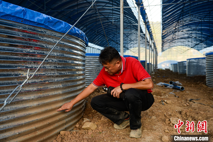 圖為10月19日，賴?yán)乖凇棒~菜共生”基地查看施工進(jìn)展。 <a target='_blank' href='/'>中新社</a>記者 何蓬磊 攝