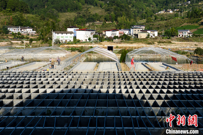 圖為10月19日，“魚菜共生”基地里即將完工的蔬菜種植區(qū)。 <a target='_blank' href='/'>中新社</a>記者 何蓬磊 攝