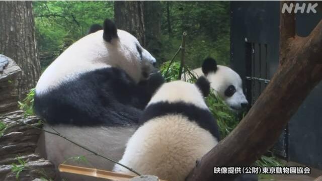 圖片來源:日本放送協(xié)會(NHK)報道截圖