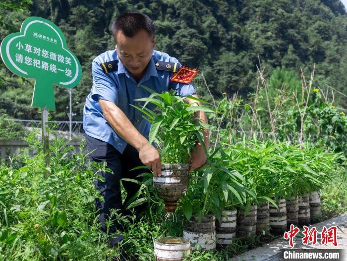 圖為改為無人值守前，員工在打理種植的蔬菜。　鮮聯(lián)平 攝