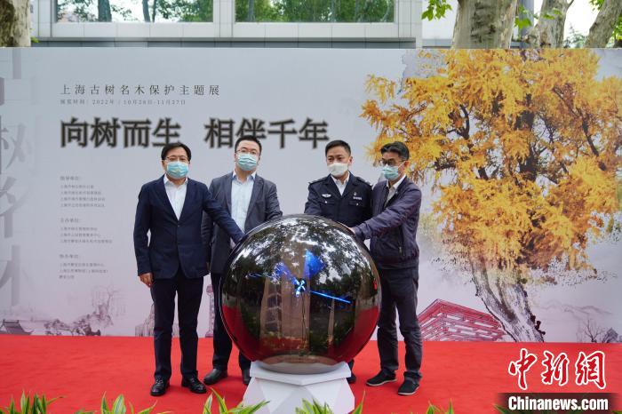 上海留住歷史見證和鄉(xiāng)愁：工程建設讓位古樹保護、為名木建園