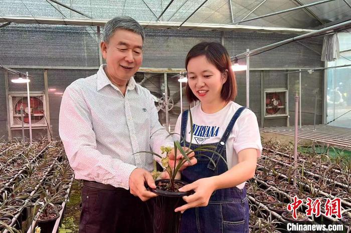 臺灣種蘭人40載扎根閩南：帶徒授藝造?；ㄞr(nóng)