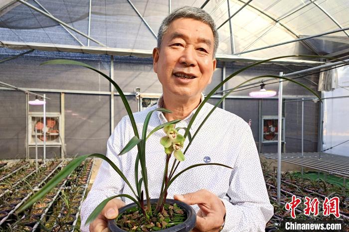 臺胞湯清喜向記者分享他在大陸種植蘭花故事?！×握涿?攝