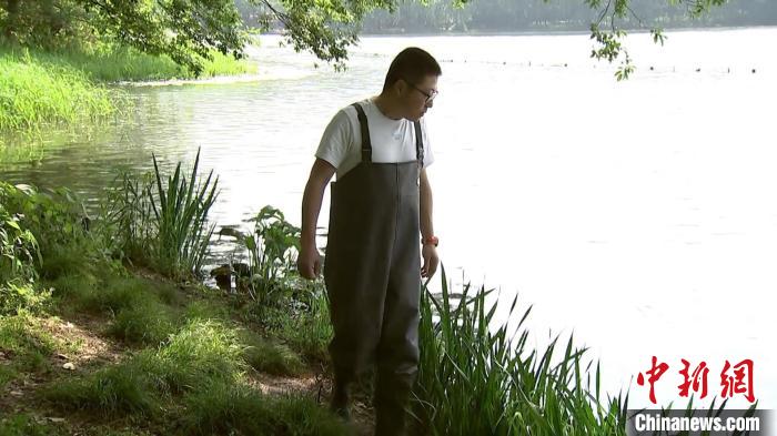 孫堅(jiān)查看水草生長情況?！∥骱蚬芾硖幑﹫D