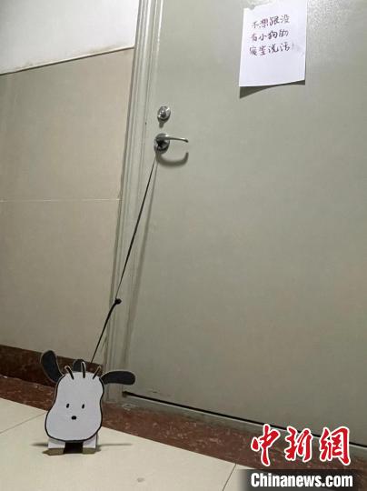 紙盒小狗被“拴”在門口?！》缎廊?攝