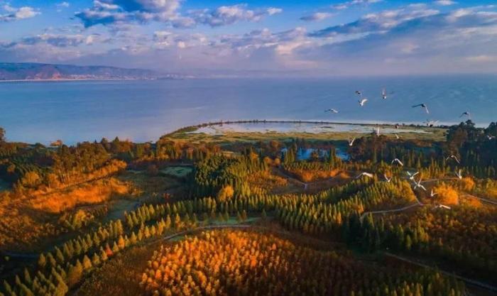 南滇池國(guó)家濕地公園。圖片來(lái)源：臺(tái)灣《經(jīng)濟(jì)日?qǐng)?bào)》