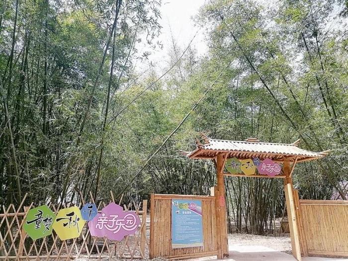 九渡村以荷、竹為重心，發(fā)展鄉(xiāng)村特色旅游。圖片來源：臺灣《聯(lián)合報》