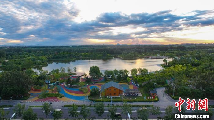 圖為東郊森林公園。　通州區(qū)創(chuàng)森辦供圖