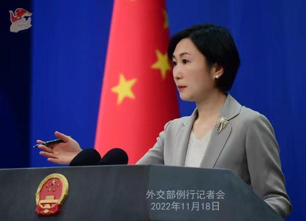 外交部發(fā)言人毛寧。薛偉 攝