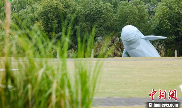 雕塑家以特殊材質(zhì)完成的江豚形象?！∧暇╅L(zhǎng)江文化國(guó)際雕塑藝術(shù)邀請(qǐng)展主辦方供圖