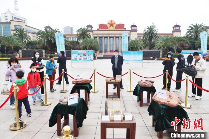 圖為2022年度江西省古生物化石保護利用科普宣傳活動南昌分會場展出的一些古生物化石吸引不少市民觀看?！⒘?攝