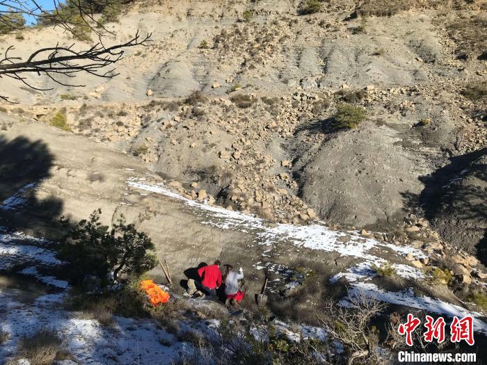 本次研究的化石標(biāo)本挖掘現(xiàn)場(chǎng)2(圖源：?ngel Galobart)。　施普林格·自然 供圖