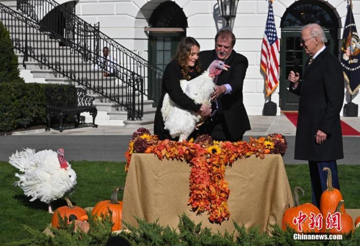 當?shù)貢r間11月21日，美國總統(tǒng)拜登在白宮“赦免”兩只2022年感恩節(jié)幸運火雞“巧克力”和“薯片”。 <a target='_blank' href='/'>中新社</a>記者 陳孟統(tǒng) 攝