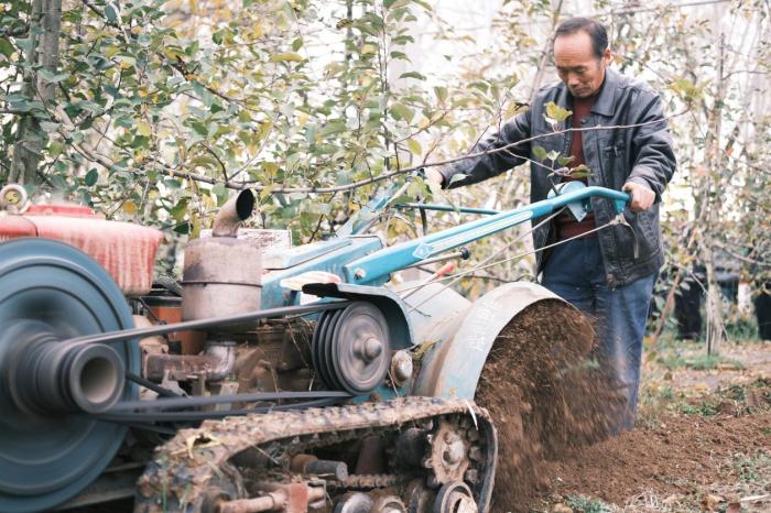 村民李育宏在蘋果園里用開溝機(jī)開溝。人民網(wǎng)記者 吳超攝