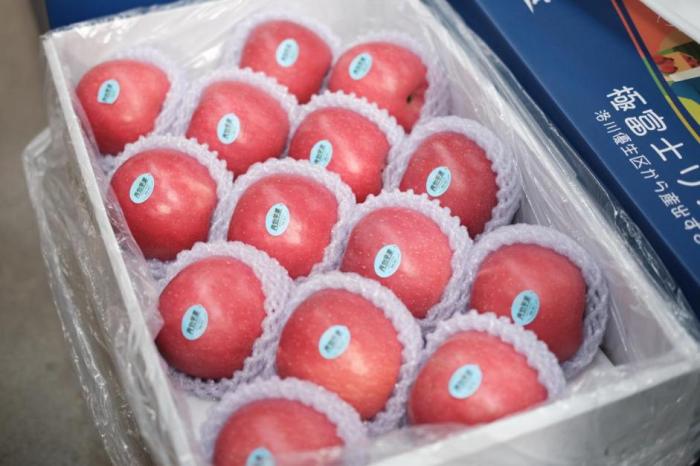 等待銷售的洛川蘋果。人民網(wǎng)記者 吳超攝