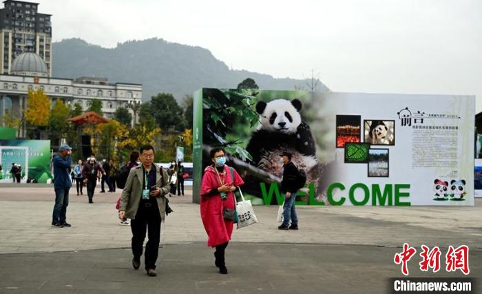 “大熊貓與自然”雅安攝影展現(xiàn)場(chǎng)?！⒅铱?攝