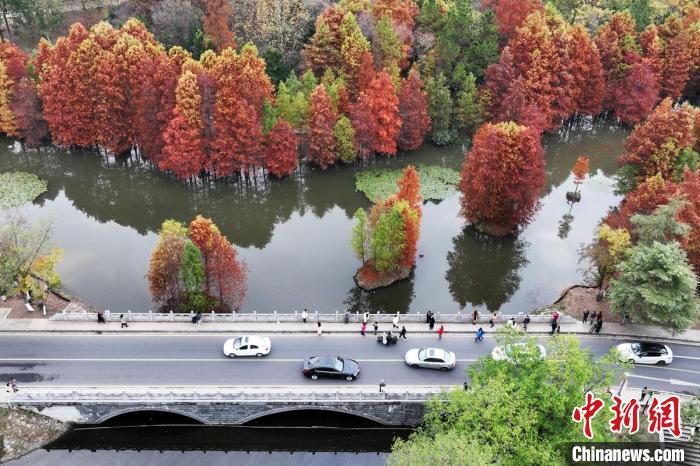 紫霞湖吸引市民前來打卡?！°蟛?攝
