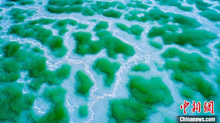 圖為楊金花攝影作品《鳥瞰翡翠湖》?！∑钸B山國(guó)家公園青海省管理局供圖