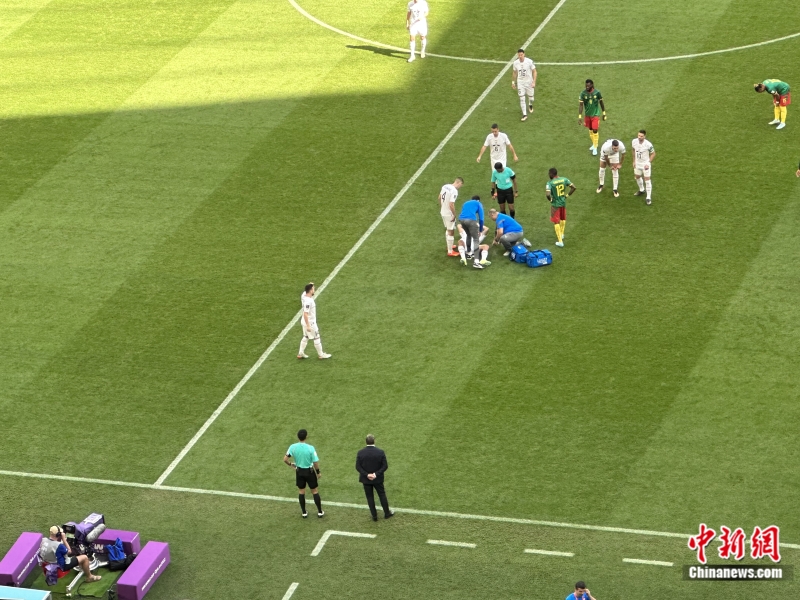 馬寧(左)與斯托伊科維奇站在場邊。<a target='_blank' href='/' >中新網(wǎng)</a>記者 卞立群 攝