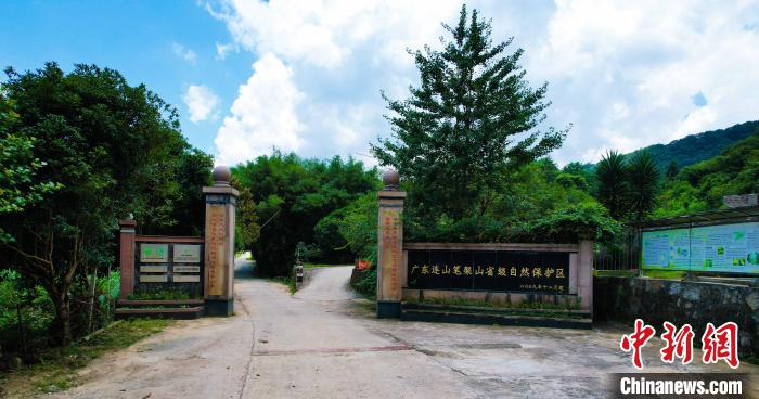 廣東連山筆架山省級(jí)自然保護(hù)區(qū)?！V東連山筆架山省級(jí)自然保護(hù)區(qū) 攝