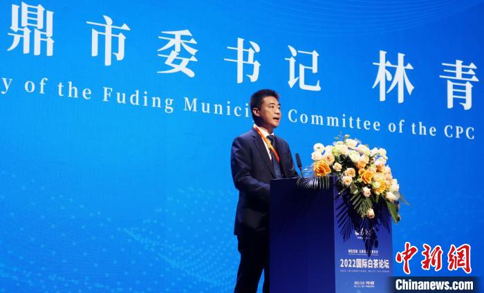福鼎市委書(shū)記林青致辭?！×珠派?攝