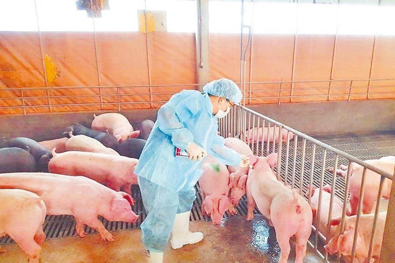 20221205003682 20221205003682