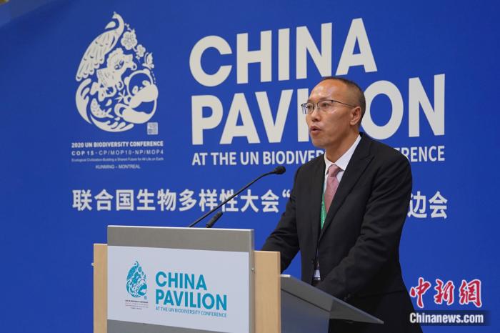 中共貴州省從江省委書記周崇軍在邊會案例分享上發(fā)言。 尹靈 攝